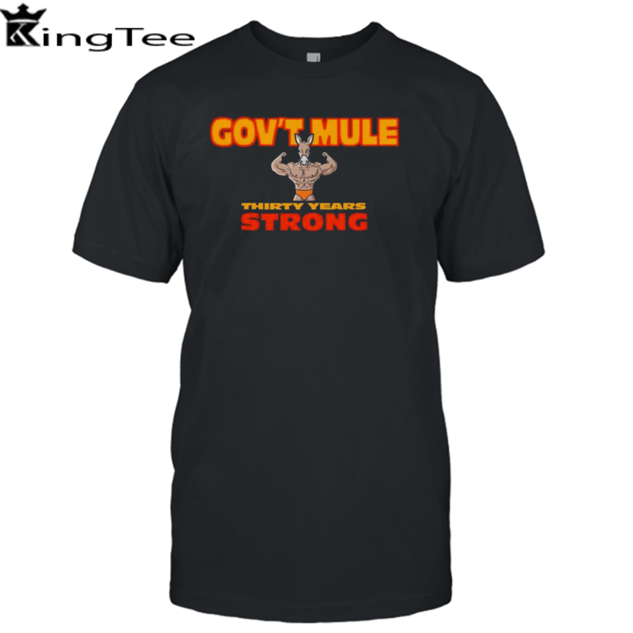 Government Mule 30 Years Strong Tour 2024 Performance Schedule T-shirt