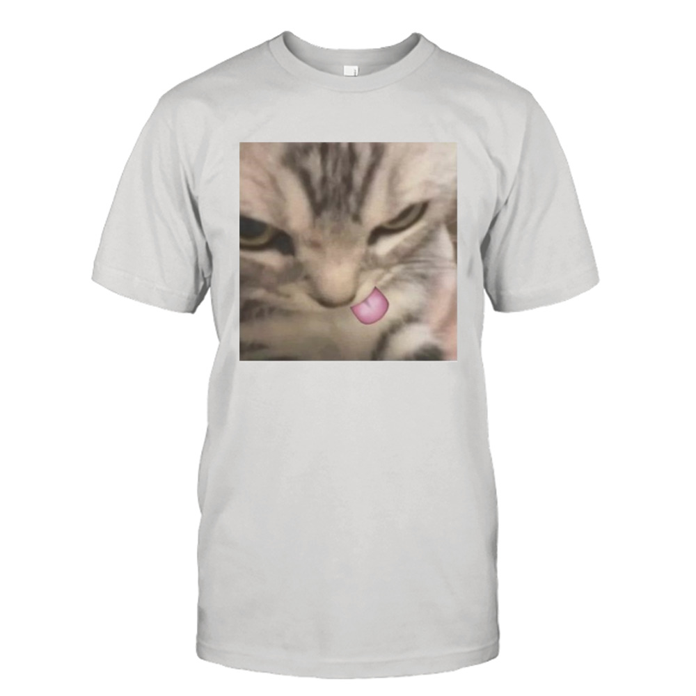 Cat Silly Kitten shirt