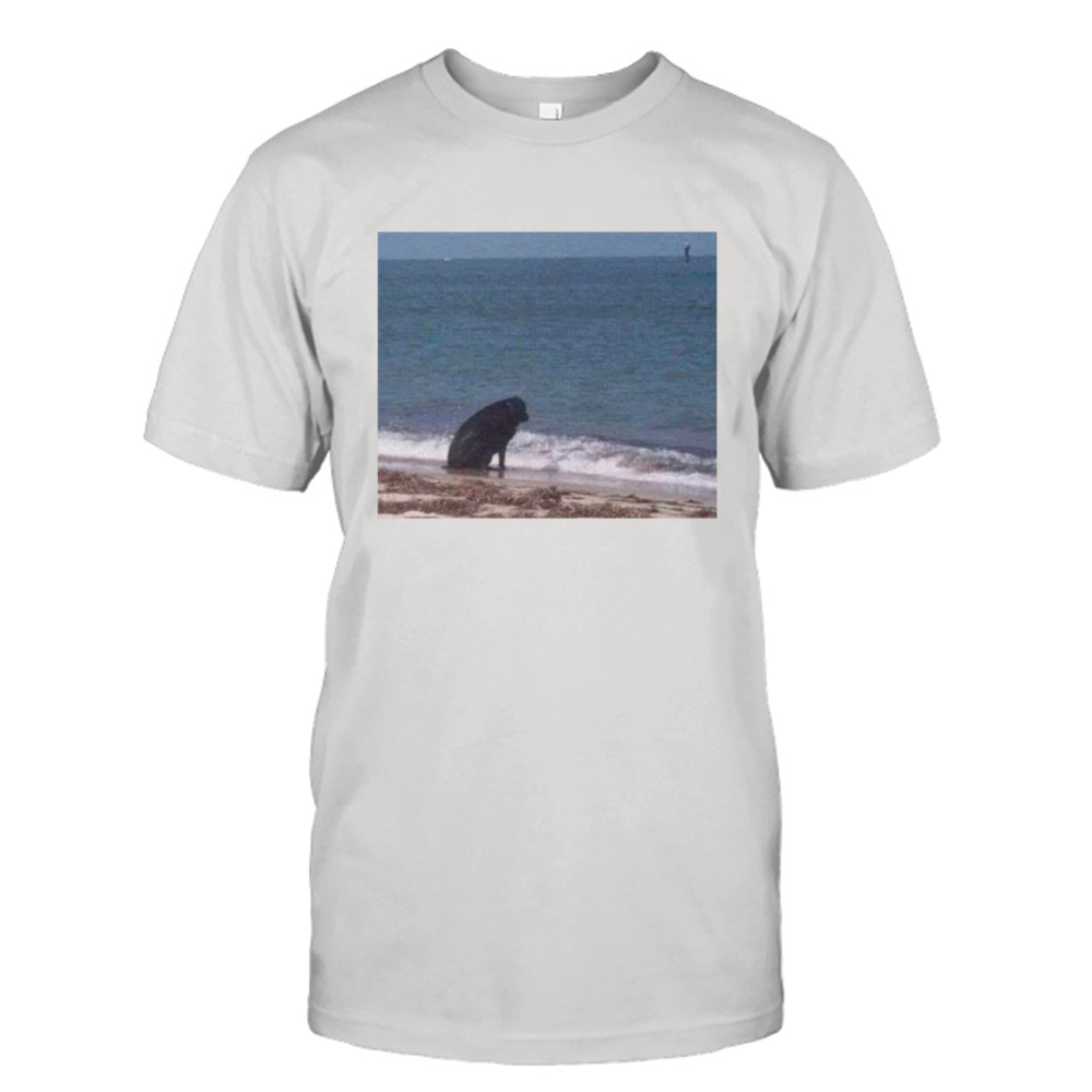 Sad dog at the beach shirt