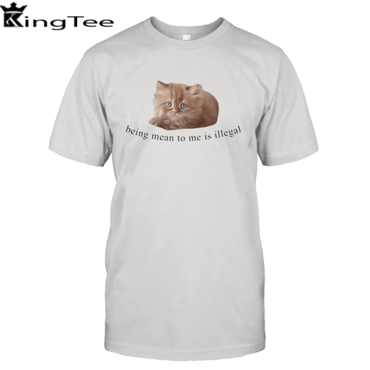 Cat Being Mean To Me Is Illegal shirt