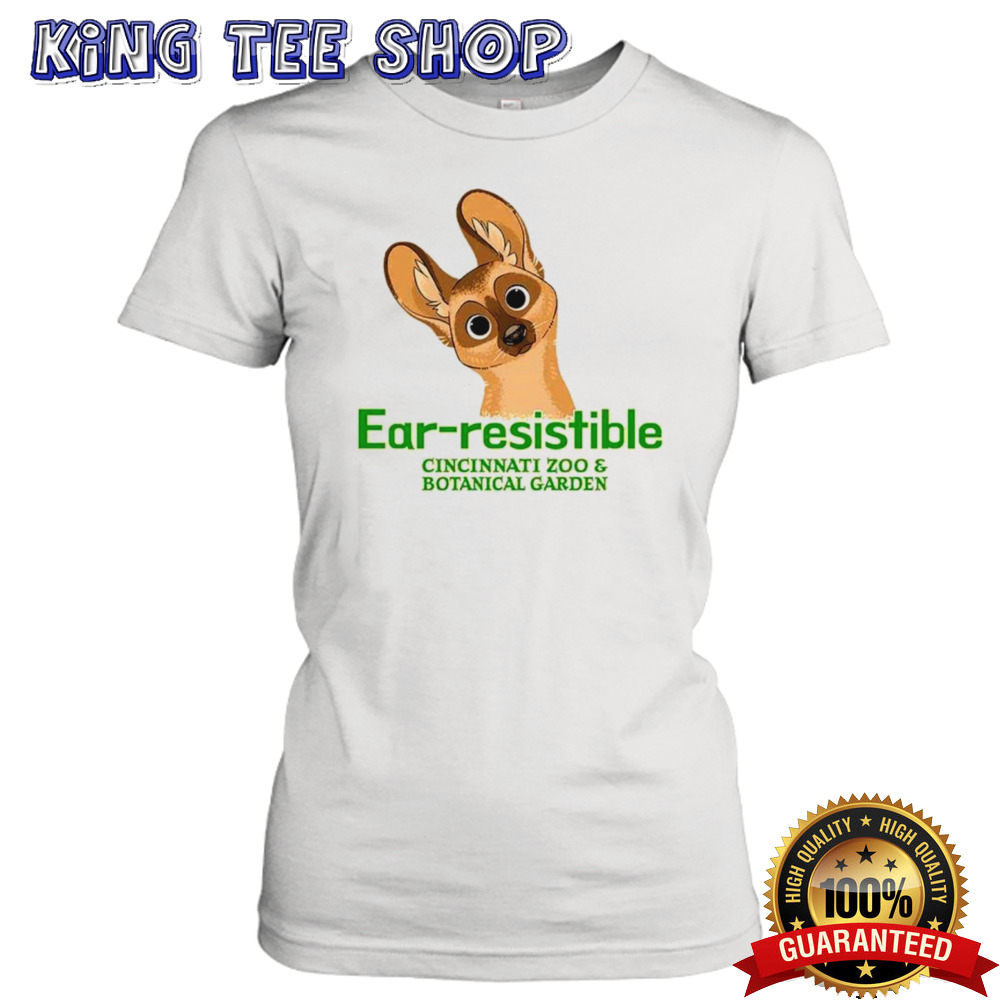 Ladies T-Shirt