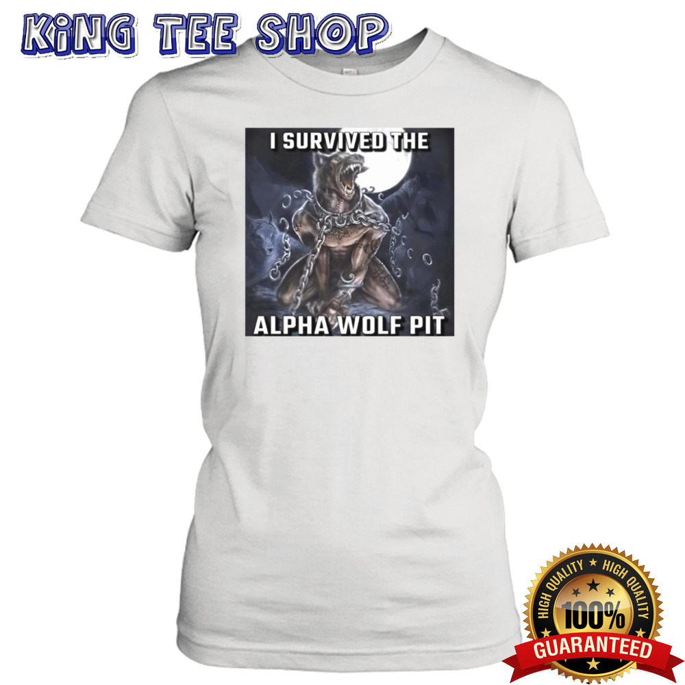 Ladies T-Shirt