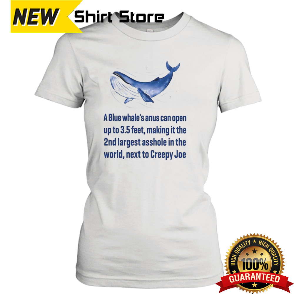 Ladies T-Shirt