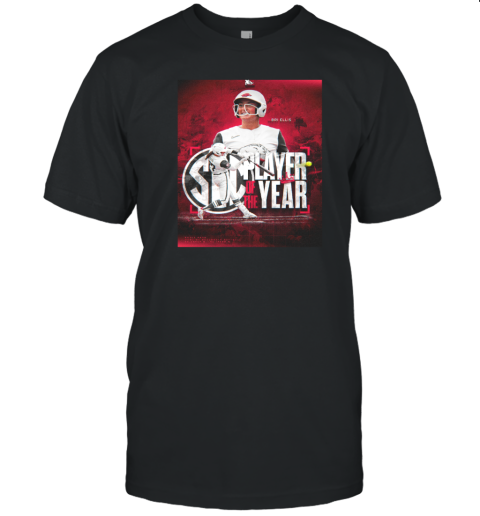 Bri Ellis Team Arkansas Razorbacks Is The 2025 SEC Player Of The Year T-Shirt Bri Ellis Team Arkansas Razorbacks Is The 2025 SEC Player Of The Year T-Shirt