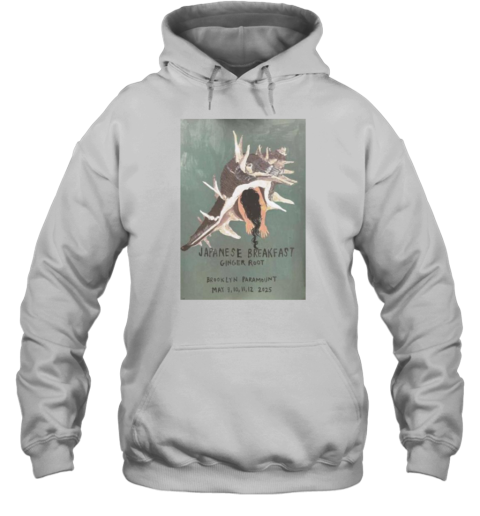 Japanese Breakfast Ginger Root May 12 2025 Brooklyn NY Unisex Hoodie