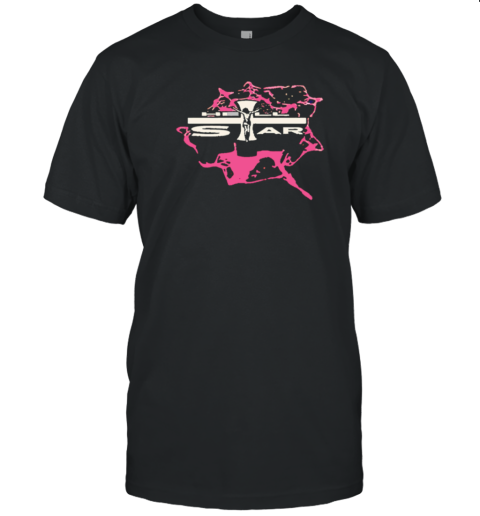 Miami Dolphins NFL X Hell Star T-Shirt